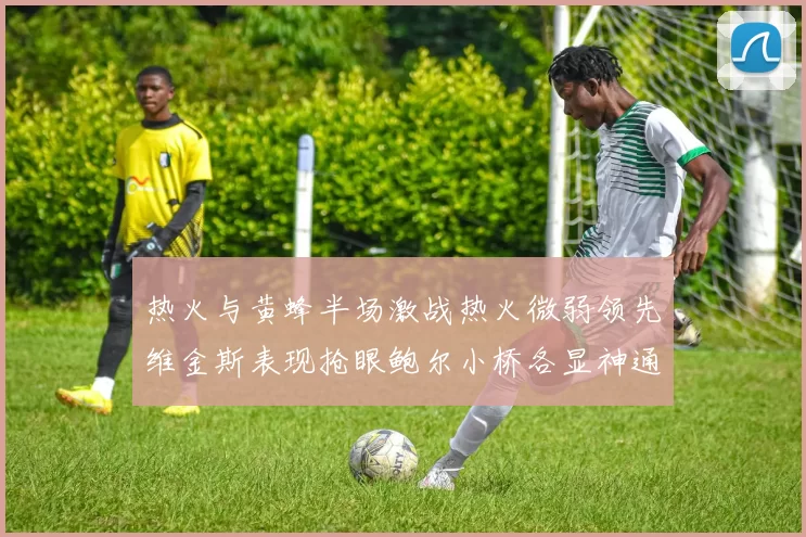 热火与黄蜂半场激战热火微弱领先维金斯表现抢眼鲍尔小桥各显神通